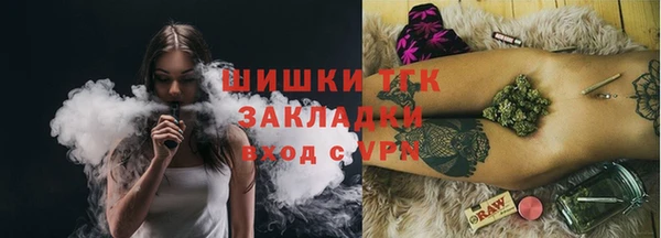 мдпв Верея