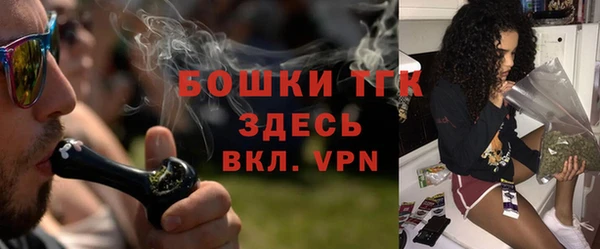 мдпв Верея