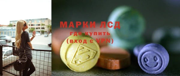 мдпв Верея