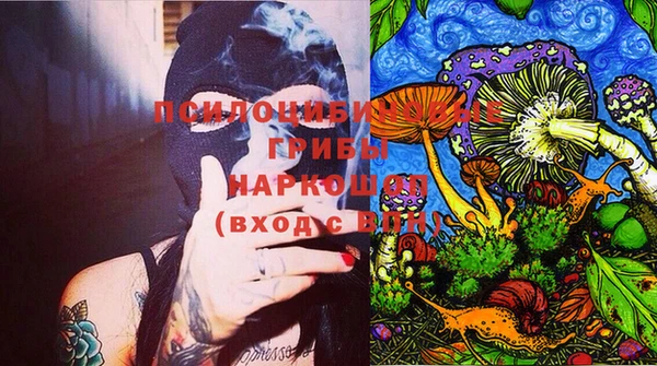 мдпв Верея